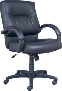 Tempest Mid Back Chair