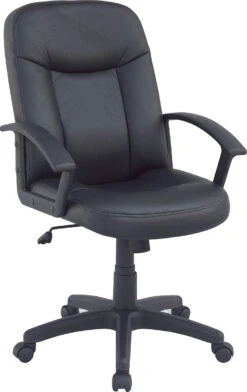 Manteo Mid Back Chair