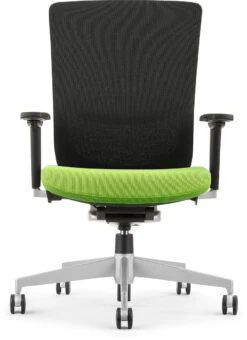 Dionne Mesh Mid Back Chair - Green