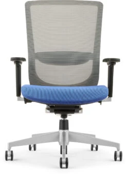 Dionne Mesh Mid Back Chair - Blue